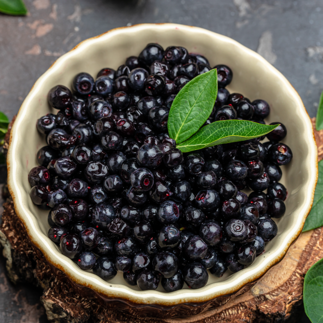 Maqui Berry