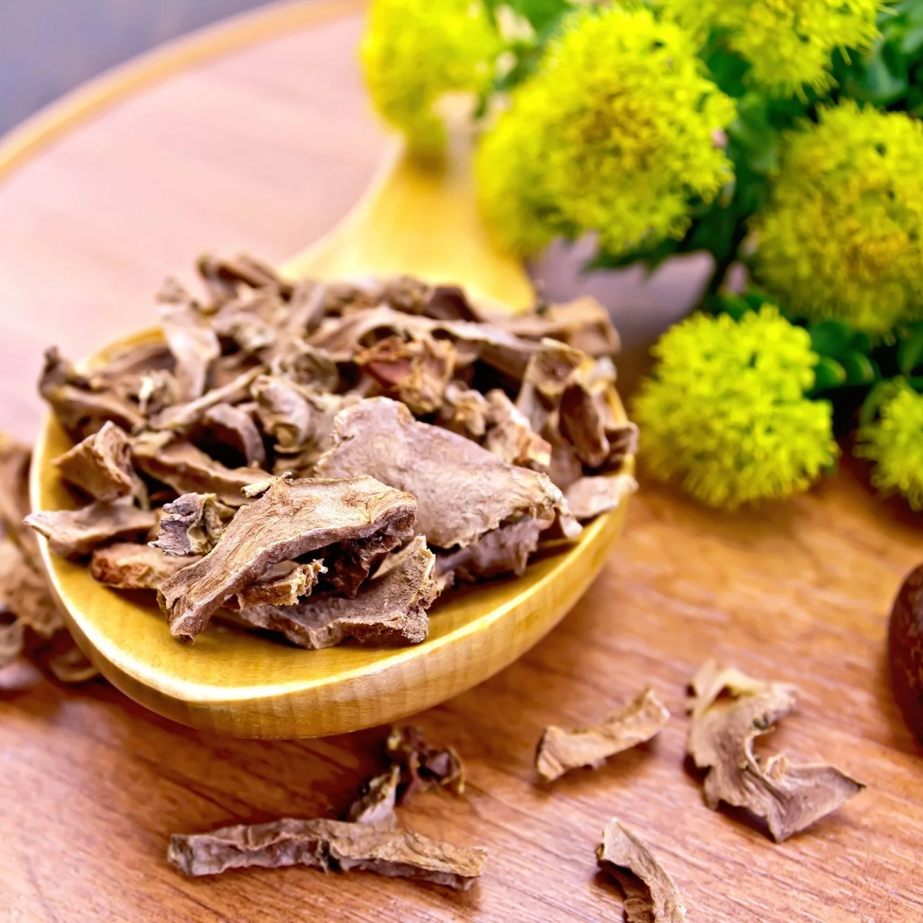 Rhodiola Rosea